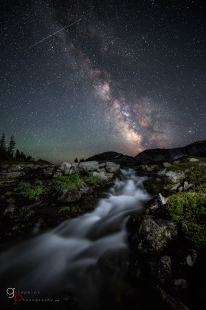The Milky Way and wildflowers taken at Glacier Lake in the Eagle Cap Wilderness. Wallowa–Whitman National Forest, Oregon