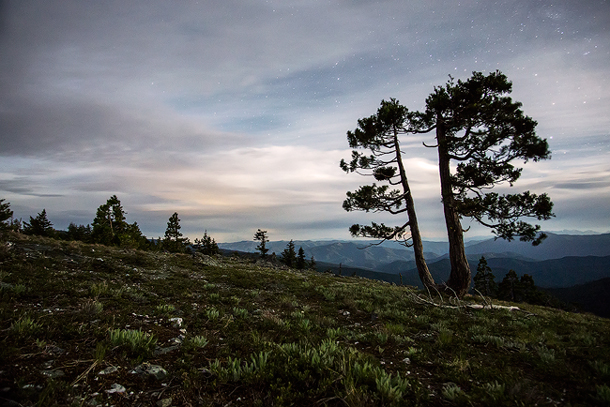 Pacific Crest Trail