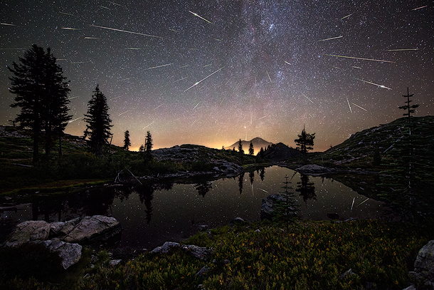 Perseid Meteor Shower