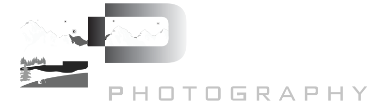 Goldpaint Photography