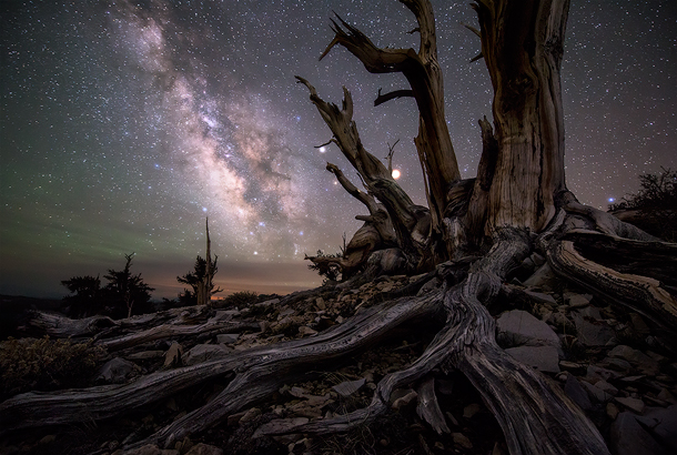 NASA’s Astronomy Picture of the Day (APOD)