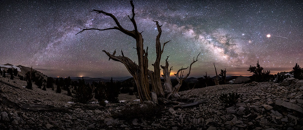 Safety Tips for Night Photography