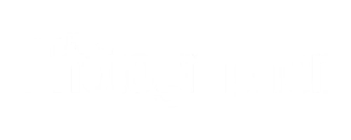 Logo for the Digital Photographer Magazine