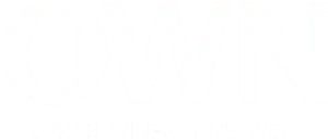 Oprah Winfrey Network Logo