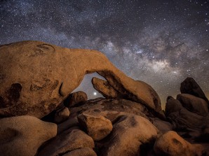 The Beginning: Joshua Tree National Park