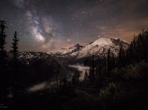 ‘Moonlit Darklings’ receives 2nd place in TWAN contest
