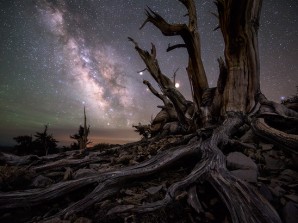 NASA’s Astronomy Picture of the Day (APOD)