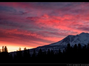Magic Hour: Chasing the Light